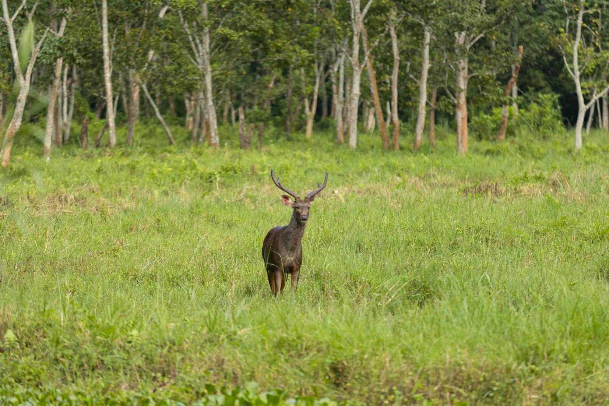 Hotel Parkside Chitwan Eksteriør billede